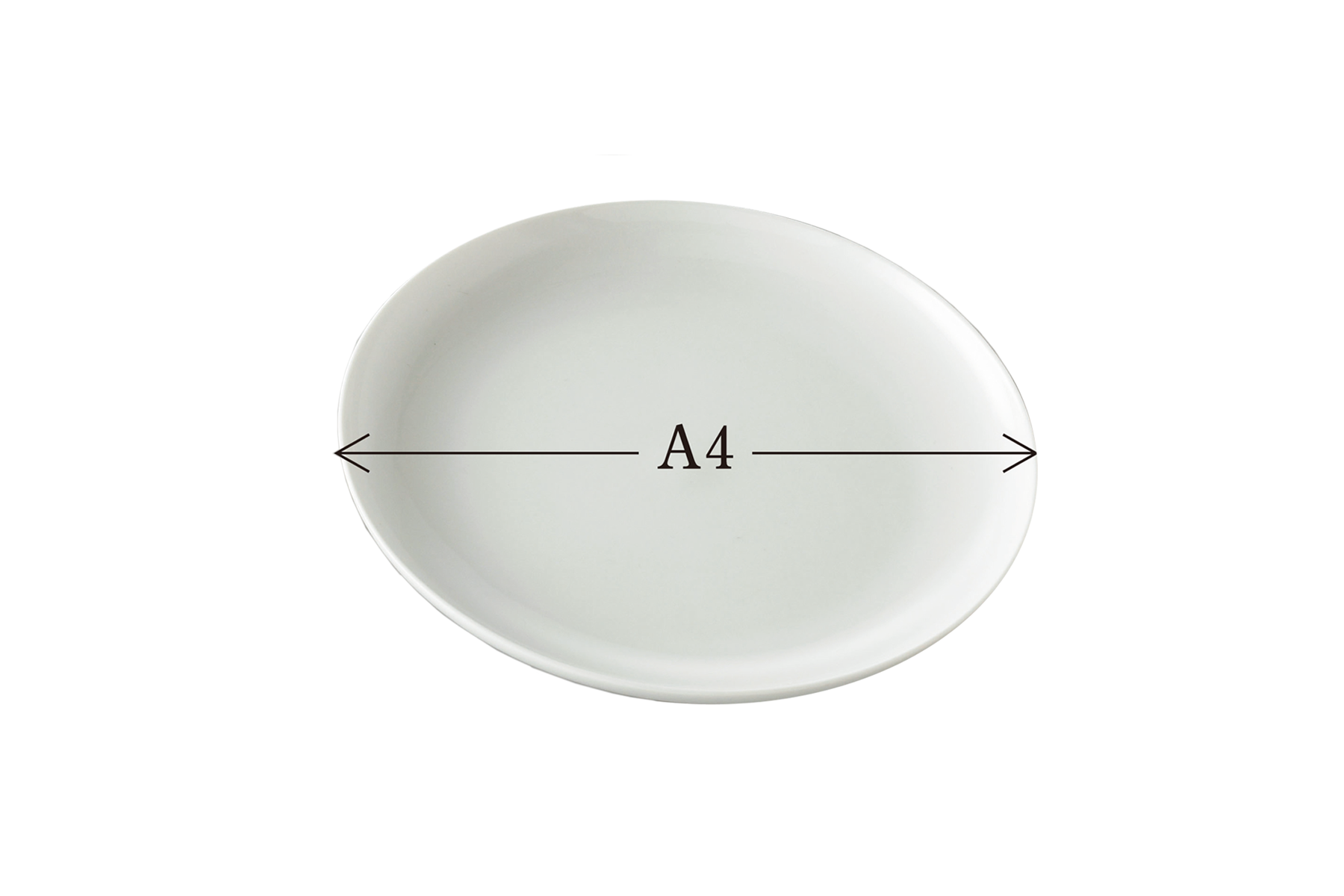 THE PLATE（A4サイズ）