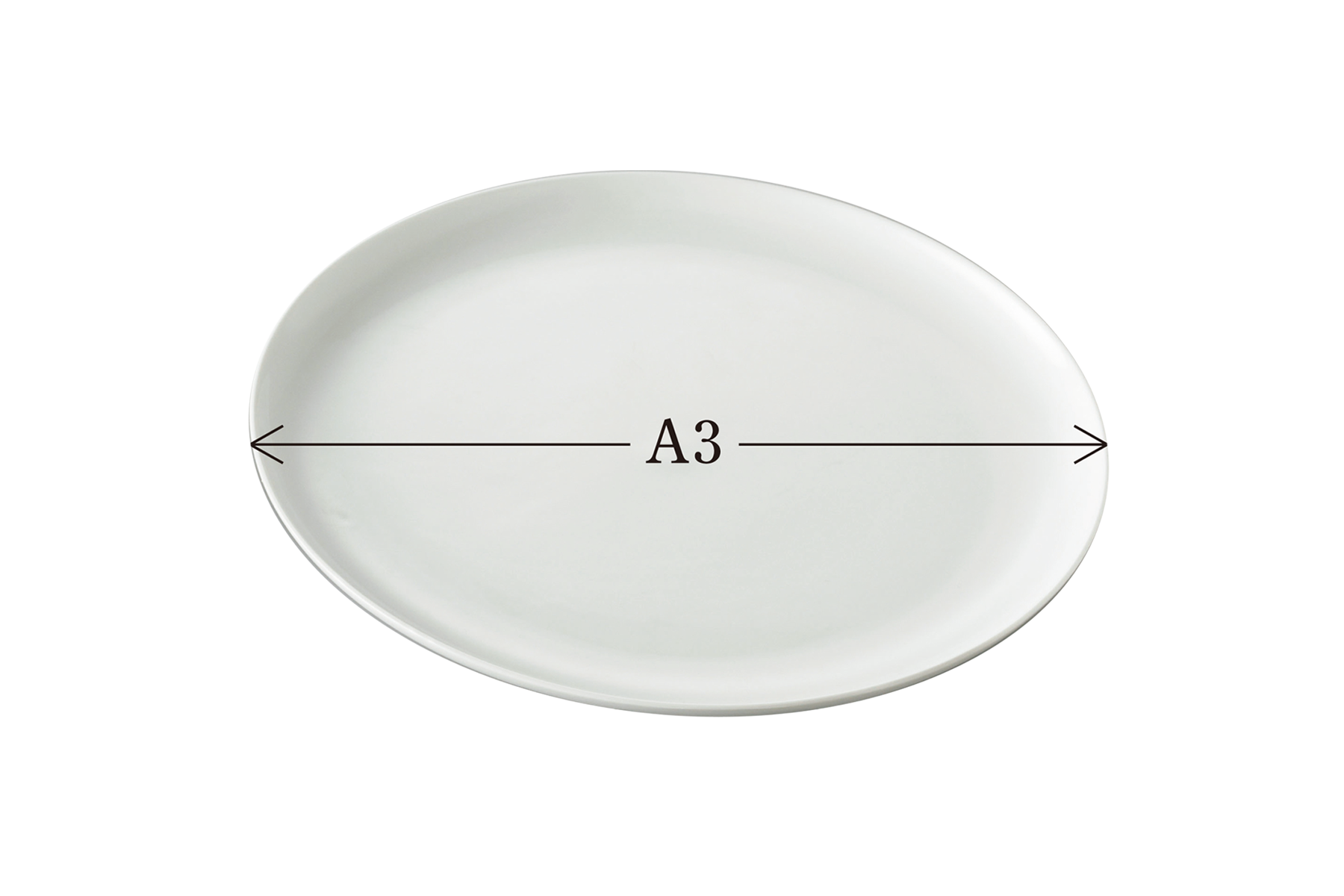 THE PLATE（A3サイズ）